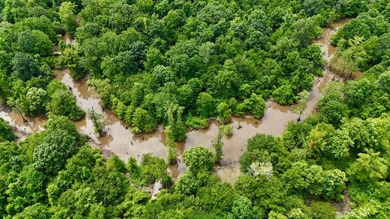 (private lake, pond, creek) Acreage For Sale in Kilmichael Mississippi