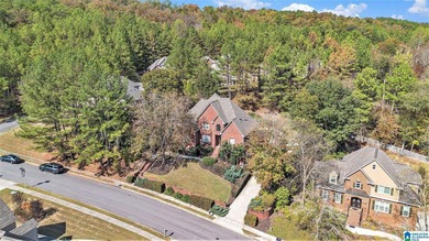 Located on a beautifully elevated lot in desirable Scout Trace - photo 44
