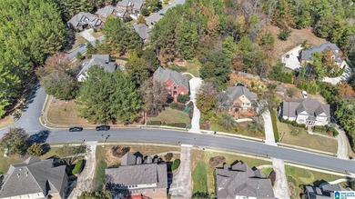 Located on a beautifully elevated lot in desirable Scout Trace - photo 46