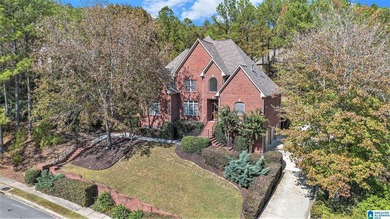 Located on a beautifully elevated lot in desirable Scout Trace - photo 49