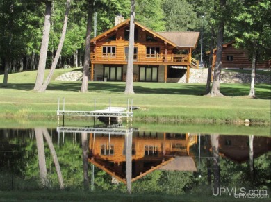 (private lake, pond, creek) Home For Sale in Stephenson Michigan