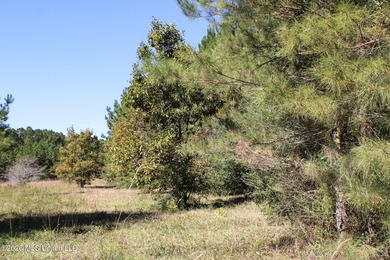 MULTI HOME PROPERTY! Welcome to your outdoorsman's paradise -- - photo 5