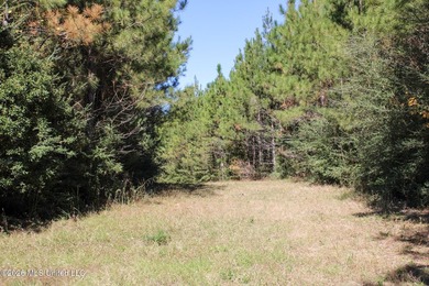 MULTI HOME PROPERTY! Welcome to your outdoorsman's paradise -- - photo 6
