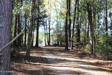 MULTI HOME PROPERTY! Welcome to your outdoorsman's paradise -- - photo 8