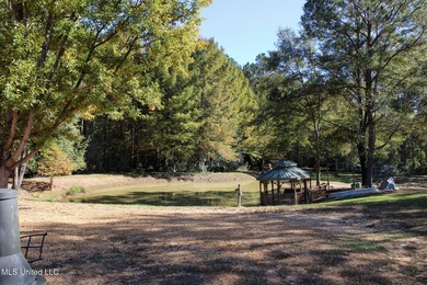 MULTI HOME PROPERTY! Welcome to your outdoorsman's paradise -- - photo 9