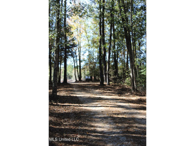MULTI HOME PROPERTY! Welcome to your outdoorsman's paradise -- - photo 10