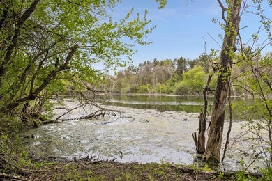 A remarkable Charles Cudd masterpiece set on 10 wooded acres in - photo 10