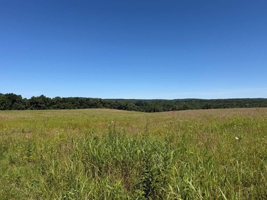 Escape to the beauty of Southern Illinois with this outstanding - photo 11