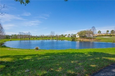 Welcome to easy Florida living in the highly sought-after Citrus - photo 41