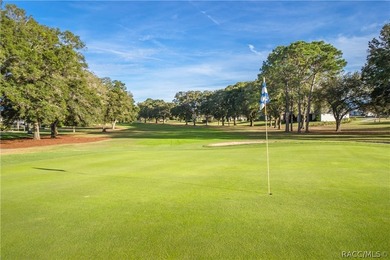 Welcome to easy Florida living in the highly sought-after Citrus - photo 49