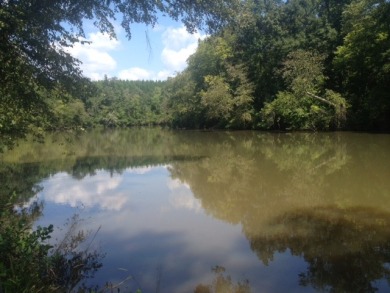 Deeded lot on Lake Harding - photo 2