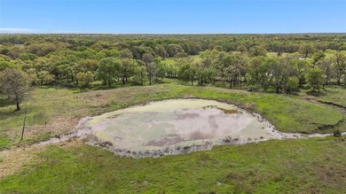 Brazos River - Hill County Acreage For Sale in Aquilla Texas