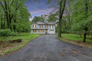 Lake Home For Sale in Pocono Summit, Pennsylvania
