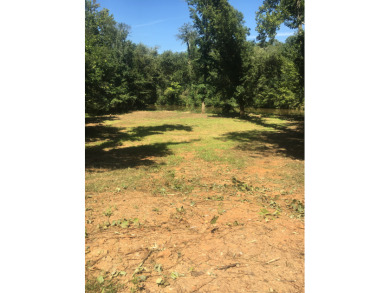 Deeded lot on Lake Harding - photo 8