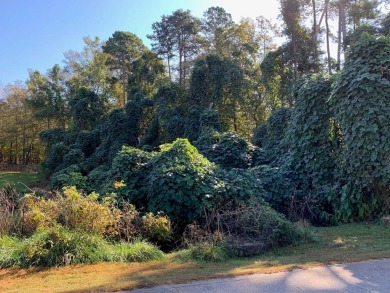 Lake Lot For Sale in Chesnee, South Carolina