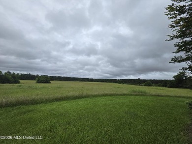277.8+/- Acres on Fair River with Timber, Pasture, Lake Access & - photo 24