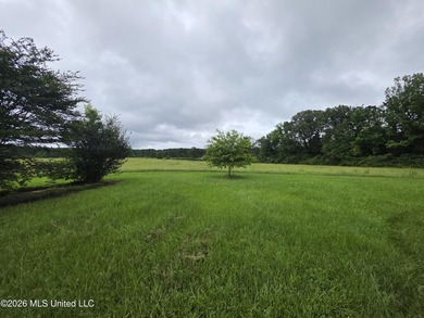 277.8+/- Acres on Fair River with Timber, Pasture, Lake Access & - photo 27