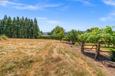 Discover your own slice of rural paradise in Banks, Oregon! - photo 29
