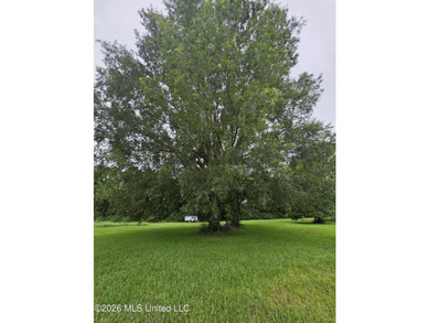 277.8+/- Acres on Fair River with Timber, Pasture, Lake Access & - photo 35