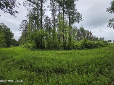 277.8+/- Acres on Fair River with Timber, Pasture, Lake Access & - photo 37