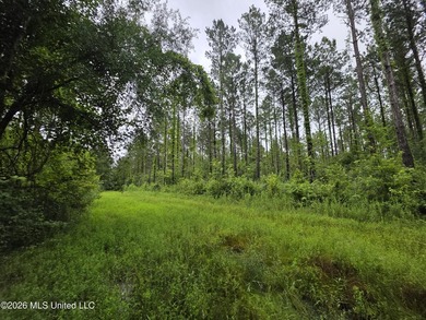 277.8+/- Acres on Fair River with Timber, Pasture, Lake Access & - photo 38