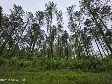 277.8+/- Acres on Fair River with Timber, Pasture, Lake Access & - photo 39