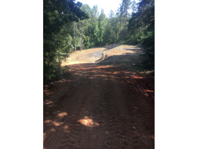 Deeded lot on Lake Harding - photo 5