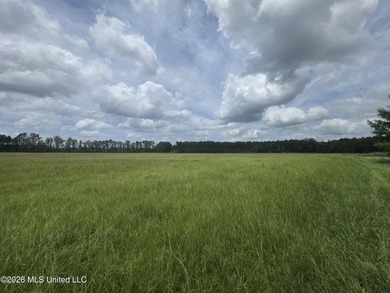 277.8+/- Acres on Fair River with Timber, Pasture, Lake Access & - photo 50