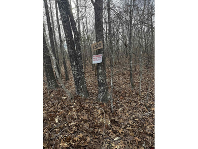 Bull Shoals Lake Acreage For Sale in Lead Hill Arkansas