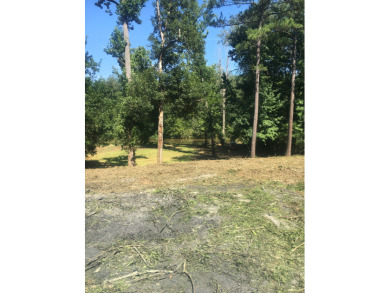 Deeded lot on Lake Harding - photo 7