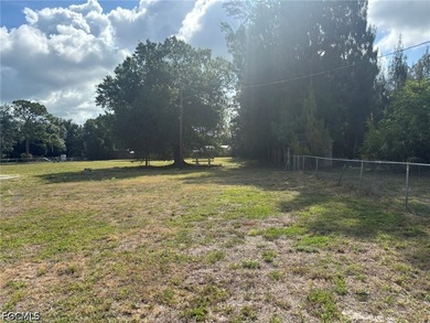 1 acre lot in Suncoast estates. Lot previously had a mobile home - photo 11