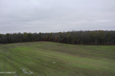 230+/- acres with 158 acres in farm cultivation receiving an - photo 2