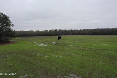 230+/- acres with 158 acres in farm cultivation receiving an - photo 5
