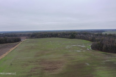 230+/- acres with 158 acres in farm cultivation receiving an - photo 7