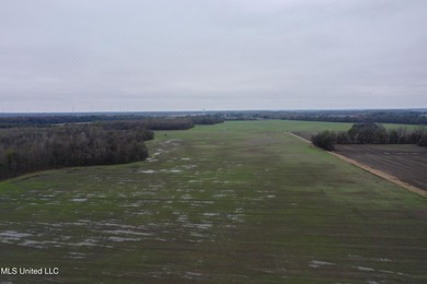 230+/- acres with 158 acres in farm cultivation receiving an - photo 8