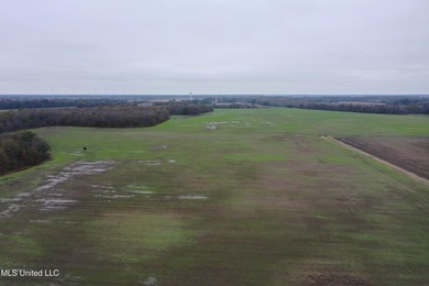 230+/- acres with 158 acres in farm cultivation receiving an - photo 9