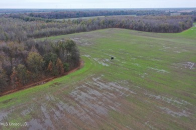 230+/- acres with 158 acres in farm cultivation receiving an - photo 10
