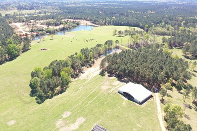 (private lake, pond, coastal) Home Sale Pending in Taylorsville Mississippi