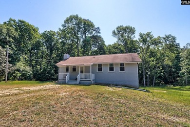 (private lake, pond, coastal) Home For Sale in Chapin South Carolina