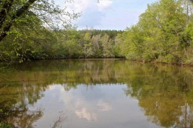Deeded lot on Lake Harding - photo 9
