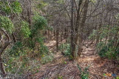 Tahitian Village, located in Bastrop, TX, is a peaceful - photo 13