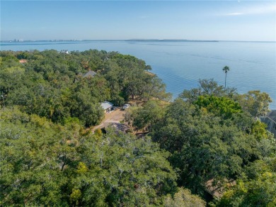 Nestled along the prestigious Bayshore Blvd in South Tampa, this - photo 14