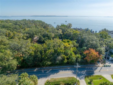 Nestled along the prestigious Bayshore Blvd in South Tampa, this - photo 15