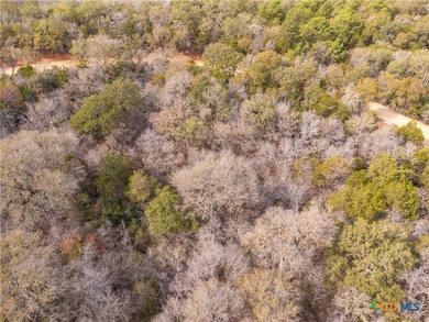 Tahitian Village, located in Bastrop, TX, is a peaceful - photo 17