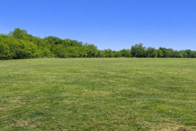 ðŸŒ¿Wide Open Spaces Near the Lake-No Restrictions! No HOA! - photo 2