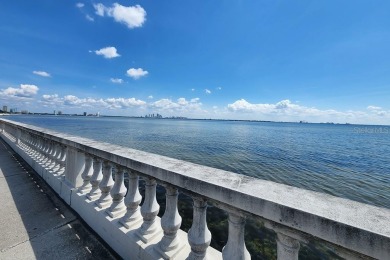 Nestled along the prestigious Bayshore Blvd in South Tampa, this - photo 31