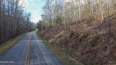 Build Your Dream Lifestyle - Rare Double Lot Opportunity! - photo 11