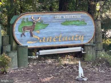 Beautiful, wooded lot with all the peace and tranquility that - photo 2
