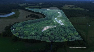 Lake Acreage For Sale in Morrilton, Arkansas