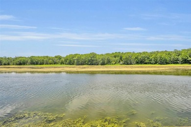 WATERFRONT PARADISE on over 1/2 acre with breathtaking views of - photo 57